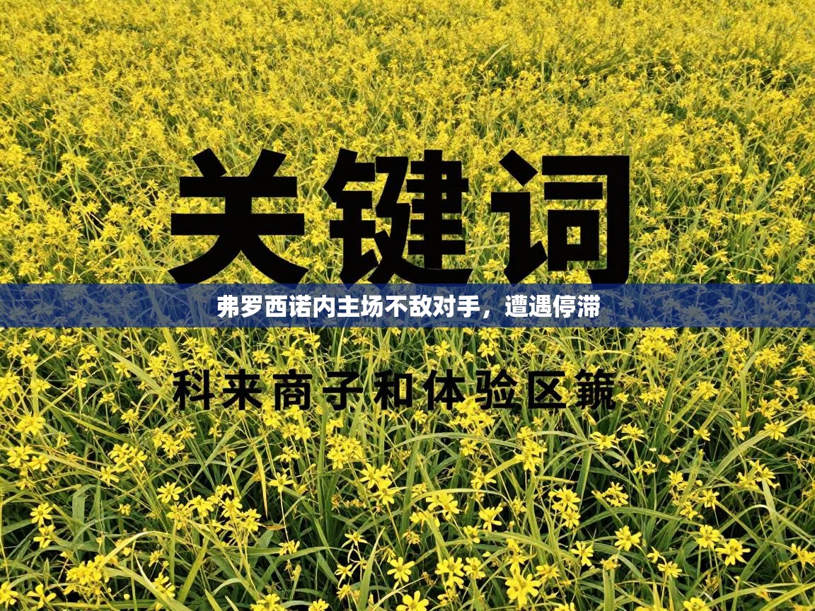 弗罗西诺内主场不敌对手,遭遇停滞 第1张